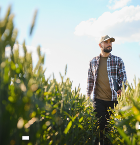 Sahadan Gelen Deneyimle Güçlenen Tarımsal Üretim